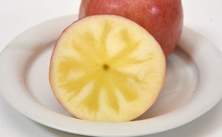 《先行予約 2026年6月上旬発送開始 定期便》プレミアムフルーツ (さくらんぼ シャインマスカット 高徳りんご) FSY-2368