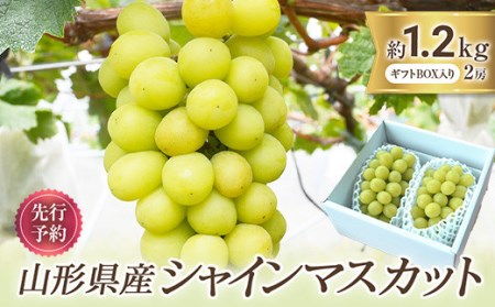 先行予約 令和5年9月下旬発送】山形県産 シャインマスカット 2房 約1.2