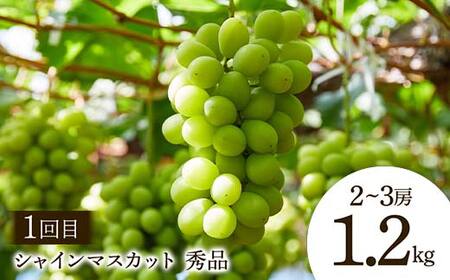 【2026年先行予約 定期便4回】 おいしい山形 秋冬フルーツ定期便 マスカット ぶどう ブドウ 葡萄 デザート フルーツ 果物 くだもの 果実 食品 山形県 FSY-2542
