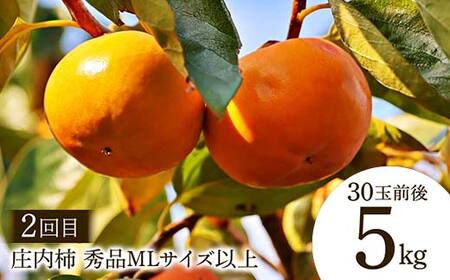 【2026年先行予約 定期便4回】 おいしい山形 秋冬フルーツ定期便 マスカット ぶどう ブドウ 葡萄 デザート フルーツ 果物 くだもの 果実 食品 山形県 FSY-2542
