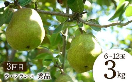 【2026年先行予約 定期便4回】 おいしい山形 秋冬フルーツ定期便 マスカット ぶどう ブドウ 葡萄 デザート フルーツ 果物 くだもの 果実 食品 山形県 FSY-2542