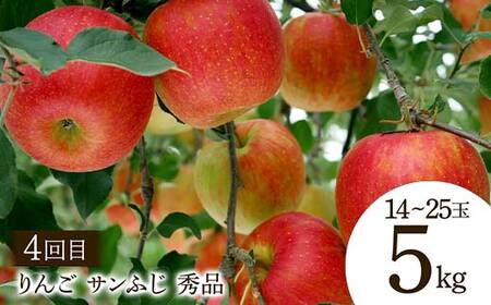 【2026年先行予約 定期便4回】 おいしい山形 秋冬フルーツ定期便 マスカット ぶどう ブドウ 葡萄 デザート フルーツ 果物 くだもの 果実 食品 山形県 FSY-2542