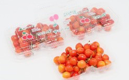 【先行予約 令和8年度発送】山形県産 さくらんぼ 佐藤錦 600g（200g×3パック）秀品以上 L～2Lサイズ FSY-0689