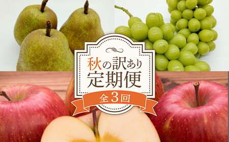 【2026年発送 先行予約】秋の訳あり くだもの定期便 (全3回) マスカット ぶどう ブドウ 葡萄 デザート フルーツ 果物 くだもの 果実 食品 山形県 FSY-2698