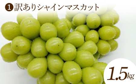 【2026年発送 先行予約】秋の訳あり くだもの定期便 (全3回) マスカット ぶどう ブドウ 葡萄 デザート フルーツ 果物 くだもの 果実 食品 山形県 FSY-2698
