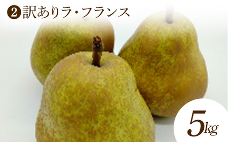 【2026年発送 先行予約】秋の訳あり くだもの定期便 (全3回) マスカット ぶどう ブドウ 葡萄 デザート フルーツ 果物 くだもの 果実 食品 山形県 FSY-2698