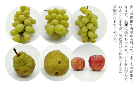 【2026年発送 先行予約】秋の訳あり くだもの定期便 (全3回) マスカット ぶどう ブドウ 葡萄 デザート フルーツ 果物 くだもの 果実 食品 山形県 FSY-2698