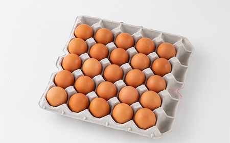 【半澤鶏卵】山形県産 赤がら卵25個（破損補償5個含む） 国産鶏種もみじ F2Y-5486