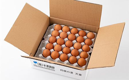 【半澤鶏卵】《定期便》 山形県産 赤がら卵25個（破損補償5個含む）×6回 国産鶏種もみじ F2Y-5488