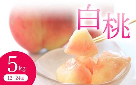 《先行予約 2026年度発送》白桃(品種おまかせ) 5kg もも モモ 桃 デザート フルーツ 果物 くだもの 果実 食品 山形県 FSY-0706