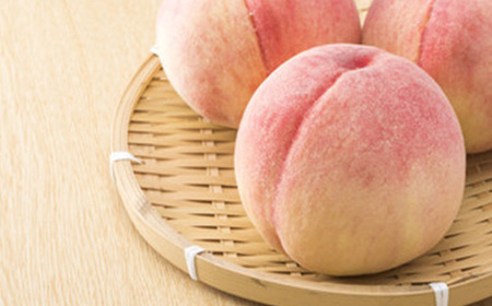 《先行予約 2026年度発送》白桃(品種おまかせ) 5kg もも モモ 桃 デザート フルーツ 果物 くだもの 果実 食品 山形県 FSY-0706