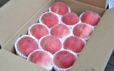 《先行予約 2026年度発送》白桃(品種おまかせ) 5kg もも モモ 桃 デザート フルーツ 果物 くだもの 果実 食品 山形県 FSY-0706