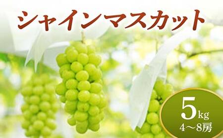 《先行予約 2026年度発送》 シャインマスカット 5kg マスカット ぶどう ブドウ 葡萄 デザート フルーツ 果物 くだもの 果実 食品 山形県 FSY-0707
