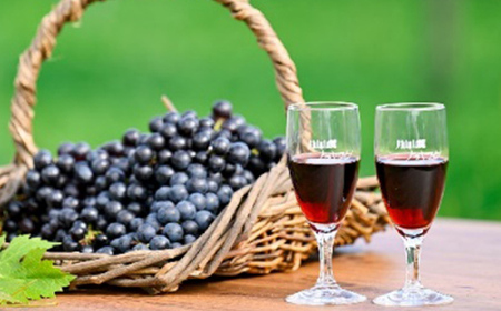 やまがたのワイン 『日本ワインで山形を楽しもう≪2≫』 F2Y-4508