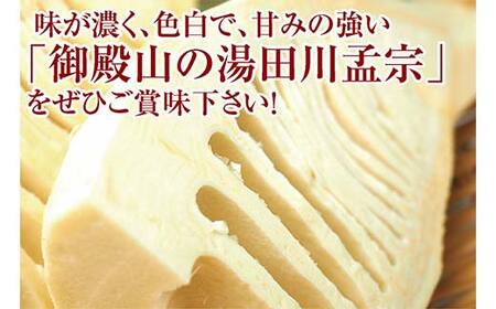 行列ができる山形・庄内地方の春の名物 ブランドたけのこ 湯田川孟宗 たけのこ 水煮缶 2缶 F2Y-3604