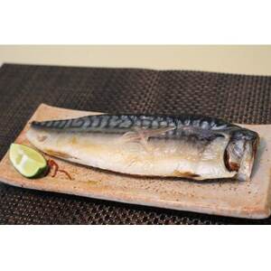 大トロさば文化干し　6パック_魚介・海産物 サバ 鮮魚 さば 鯖_【配送不可地域：離島・沖縄県】【1354313】