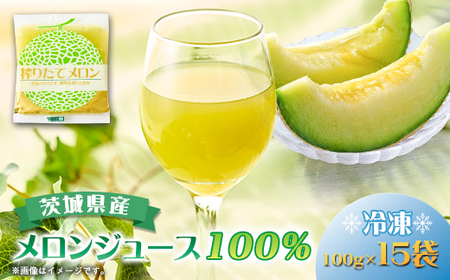 ベルファームの冷凍メロンジュース 茨城県産メロン100% 100g×15袋 【離島・沖縄配送不可】_飲料・ドリンク  果汁飲料 _【配送不可地域：離島・沖縄県】【1443649】