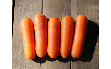 ベルファームの有機にんじんジュース 茨城県産にんじん100%  100g×30【離島・沖縄配送不可】_飲料・ドリンク 野菜ジュース ジュース _【配送不可地域：離島・沖縄県】【1443684】