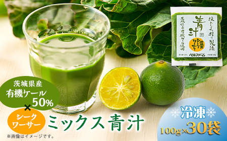 ベルファームの冷凍ミックス青汁 茨城県産ケール使用 100g×30袋 【離島・沖縄配送不可】_飲料・ドリンク 野菜ジュース ジュース _【配送不可地域:離島・沖縄県】【1443686】