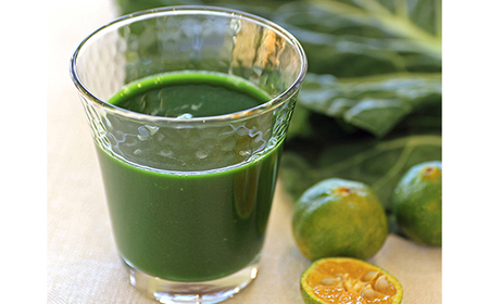 ベルファームの冷凍ミックス青汁 茨城県産ケール使用 100g×30袋 【離島・沖縄配送不可】_飲料・ドリンク 野菜ジュース ジュース _【配送不可地域:離島・沖縄県】【1443686】