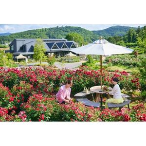 いばらきフラワーパークで使える1万円分商品券付きペアチケット_旅行券・チケット     旅行券・チケット  入場券・優待券 _【配送不可地域：離島・沖縄県】【1455656】