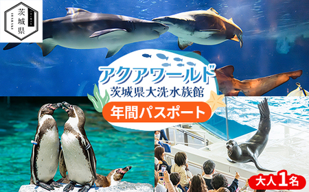 アクアワールド茨城県大洗水族館 年間パスポート(大人1名分)_旅行券・チケット 水族館 入場券・優待券 _【配送不可地域:離島・沖縄県】【1506576】