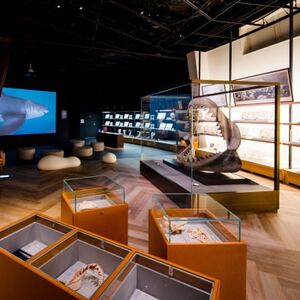 アクアワールド茨城県大洗水族館　年間パスポート(大人2名分)_旅行券・チケット 水族館 入場券・優待券 _【配送不可地域：離島・沖縄県】【1510278】