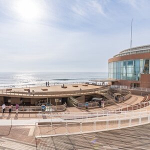 アクアワールド茨城県大洗水族館　年間パスポート(大人2名分)_旅行券・チケット 水族館 入場券・優待券 _【配送不可地域：離島・沖縄県】【1510278】