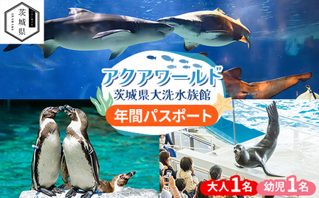 アクアワールド茨城県大洗水族館　年間パスポート(大人1名・幼児1名分)_旅行券・チケット 水族館 入場券・優待券 _【配送不可地域：離島・沖縄県】【1510279】
