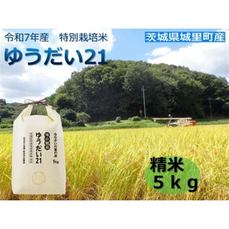 令和7年産　特別栽培米「ゆうだい21」精米5kg_ 精米 米 _【配送不可地域：離島・沖縄県】【1557706】
