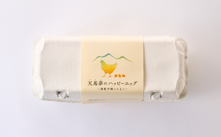 天馬夢のハッピーエッグ　10個_卵・乳製品 卵  たまご タマゴ 玉子_【配送不可地域：離島・沖縄県】【1556143】