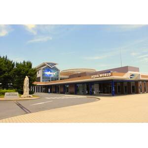 アクアワールド茨城県大洗水族館　年間パスポート+パスケース　小中学生1枚_旅行券・チケット 水族館 入場券・優待券 _【配送不可地域：離島・沖縄県】【1565572】