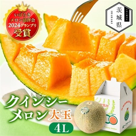 【先行受付】令和8年4月順次発送 茨城県鉾田市 山一ファーム クインシーメロン 大玉4L～5L・1玉_クインシー メロン 先行受付 鉾田市_【配送不可地域：離島・沖縄県】【1590730】