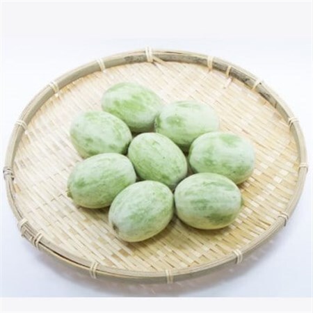 【加工用】茨城県鉾田市産 摘果メロン(子メロン)約5kg_果物・フルーツ メロン  めろん_【配送不可地域：離島・沖縄県】【1592820】