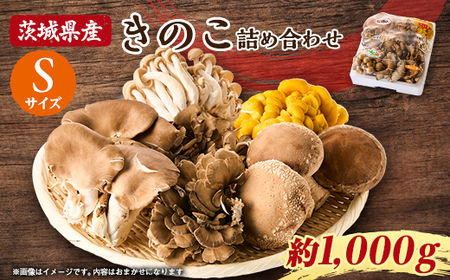 茨城県城里町産 きのこの詰め合わせ Sサイズ 約1kg_野菜  きのこ _【配送不可地域：離島・沖縄県】【1593968】
