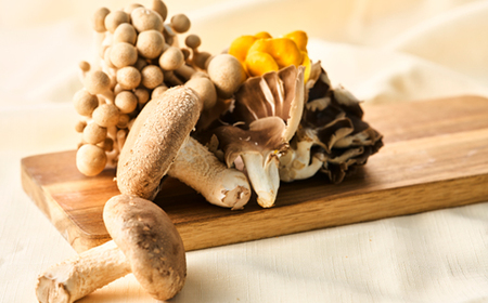 茨城県城里町産 きのこの詰め合わせ Sサイズ 約1kg_野菜  きのこ _【配送不可地域：離島・沖縄県】【1593968】