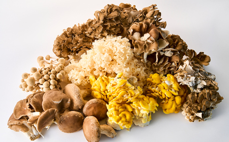 茨城県城里町産 きのこの詰め合わせ Lサイズ 約2kg_野菜  きのこ _【配送不可地域：離島・沖縄県】【1593969】