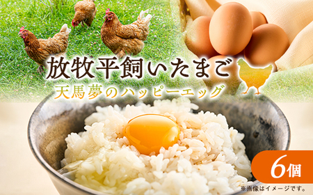 天馬夢のハッピーエッグ　6個_卵・乳製品 卵  たまご タマゴ 玉子_【配送不可地域：離島・沖縄県】【1594978】