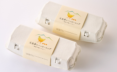 天馬夢のハッピーエッグ 20個_卵・乳製品 卵 たまご タマゴ 玉子_【配送不可地域:離島・沖縄県】【1595009】