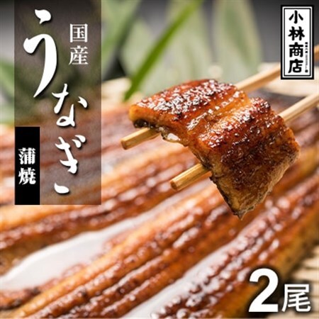 うなぎの六三 こばやし商店 国産 蒲焼うなぎ 約135g×2尾 自家製たれ2個付 木箱入_魚介・海産物 うなぎ  ウナギ 鰻_【配送不可地域：離島・沖縄県】【1604278】