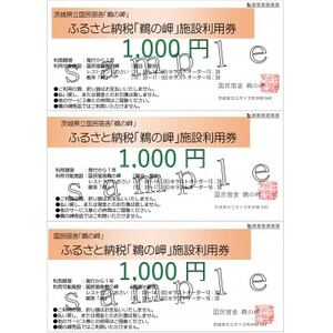国民宿舎宿泊利用率NO.1「鵜の岬」館内利用券1,000円×3【配送不可地域：離島・沖縄県】【1606374】