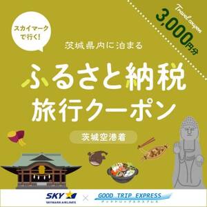 スカイマークで行くダイナミックエクスプレス 茨城空港行き(3,000円分)【配送不可地域：離島・沖縄県】【1632955】