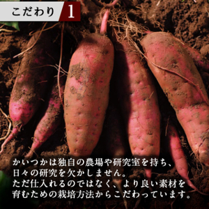 蔵出し焼き芋かいつか紅天使冷凍焼き芋1kg(500g×2袋) 茨城県産さつまいもを使用した冷凍焼き芋_蔵出し 焼き芋 紅天使 冷凍_【配送不可地域：離島・沖縄県】【1635745】