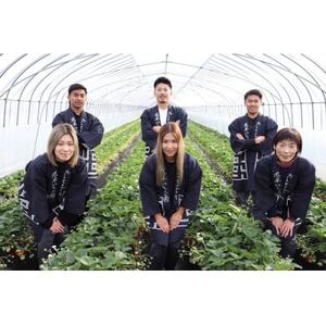 風早いちご園 とちおとめ 冷凍いちご3kg(1kg×3パック) 真空冷凍 長期保存【配送不可地域：離島・沖縄県】【1647802】