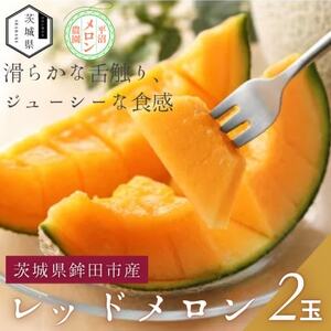【優秀賞受賞農家直送】鉾田市産レッドメロン 1.4kg以上×2玉 (※26年5月~発送予定)【配送不可地域:離島・沖縄県】【1655542】