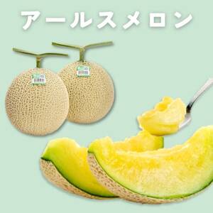 糖度13度以上!茨城県産 アールスメロン 2玉入り【先行受付　2026年9月上旬以降順次発送】【配送不可地域：離島・北海道・沖縄県・中国・四国・九州】【1686252】