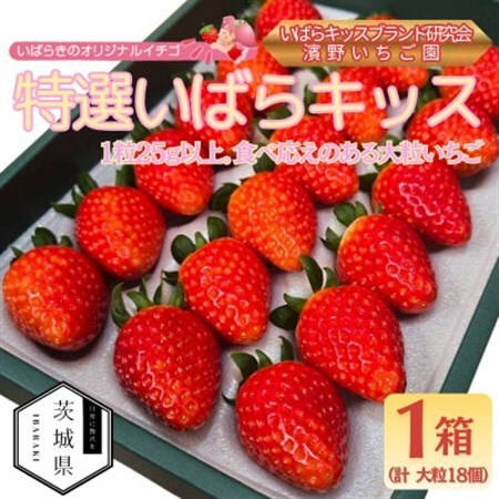 茨城県産いちご 茨城県オリジナル品種 【特選いばらキッス】計18粒(1箱)大粒・厳選　濱野いちご園【配送不可地域：離島・北海道・沖縄県・中国・四国・九州】【1707678】