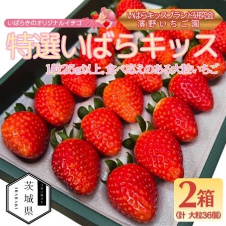 茨城県産いちご 茨城県オリジナル品種【特選いばらキッス】 計36粒(2箱)大粒・厳選 濱野いちご園【配送不可地域：離島・北海道・沖縄県・中国・四国・九州】【1707679】