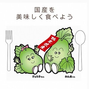 下野ブランド　下野市産かんぴょう　　　　約500g【1485728】