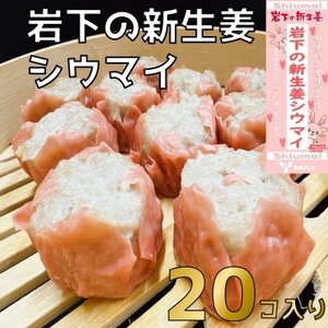 【鹿沼新名物】ヤオハンオリジナル岩下の新生姜シウマイ　20個入(800g)【配送不可地域：離島】【1505365】